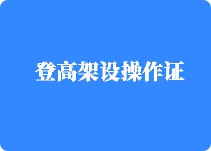 轮肏宫交登高架设操作证